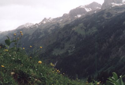 Schon sind wir Rappenalpental - Blick auf den Mindelheimer Klettersteig