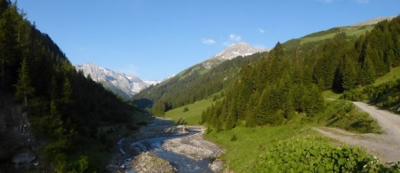 Anfahrt zur Bodenalpe durchs Almajurtal.