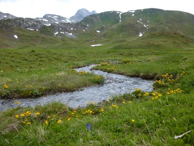 Oberer Teil des Aufstiegwegs zur Leutkircher Hütte.