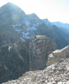 Mini-Plateau mit der Latschenkiefer